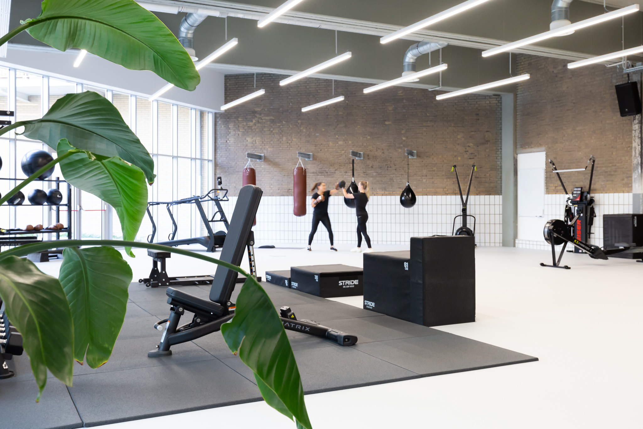 Vimotion, Enschede-Low-res00002